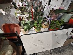 -FEI FEI FLOWER鲜花店·气球派对·宝宝宴布置(虹口德必运动Loft店)
