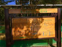 -帽儿山国家森林公园