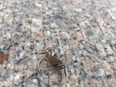 -奉贤海滩