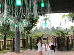 -美的鹭湖森林度假区