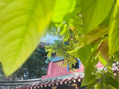 -洛阳白马寺