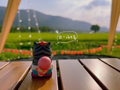 -风云岭森林公园