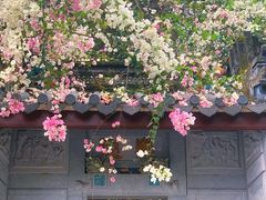 -深圳国际园林花卉博览园