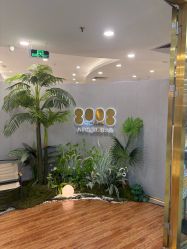 -八佰伴8008星级形象店