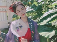 -百万葵园