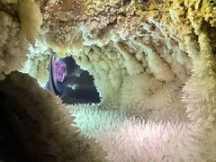 -湖南省地质博物馆