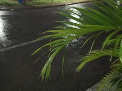 -中影国际影城(东方新天地CINITY店)