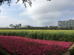-光明小镇欢乐田园
