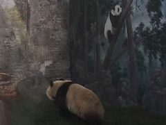 -鄂尔多斯野生动物园