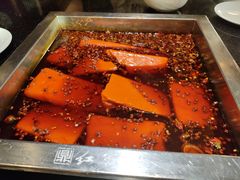 -红鼎坊·老成都火锅(新南门店)