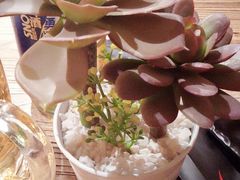 -铁人烧烤(北京店)