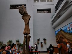 -自贡恐龙博物馆