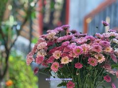 -后海16号·北京私房菜