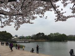 -新江湾城公园