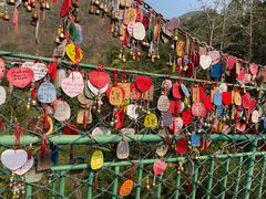 -西双版纳原始森林公园