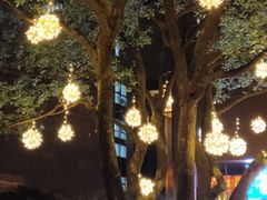 -上海虹桥祥源希尔顿酒店