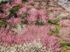 -原乡小镇度假乐园