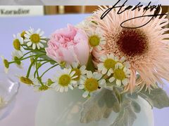 -蝶舍·MAISON PAPILLON