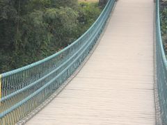 -南宁良凤江国家森林公园