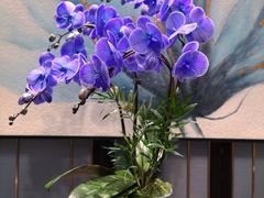 -双季花艺园艺市场(浦东店)