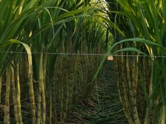 -汉长安城未央宫国家考古遗址公园