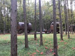 -黄海国家森林公园