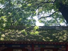 -少华山国家森林公园