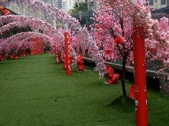 -新兴·金羊座·粤菜点心(乐峰店)