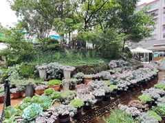 -山菌美食苑(振兴路店)
