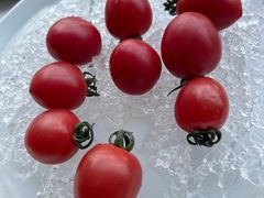 -庆和楼(北师大店)