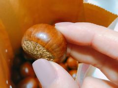 -小宝栗子(嘉华国际商业中心店)