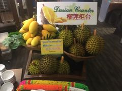 -彩虹云霄拜约克摩天塔