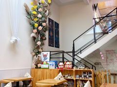 大堂-酷豆宠物咖啡·宠物美食·撸猫馆