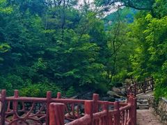 -北京凤凰岭