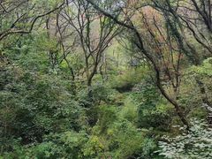 -句容茅山景区