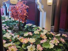 -金陵春梦足道SPA养生