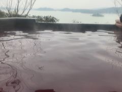 -天目湖涵田半山温泉