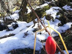 景点-毕棚沟景区