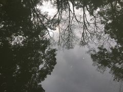 景点-济公故居