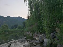 -下河湾农家乐