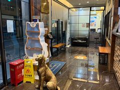 -宠颐生斯嘉宠物医院·急重症·心内科(谷阳北路分院)