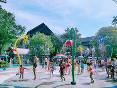 -苏州乐园森林水世界