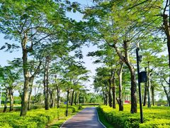 -芒洲湿地公园
