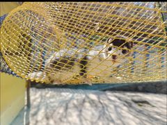 -西部长青自然儿童乐园