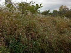 -商洛老君山旅游风景区