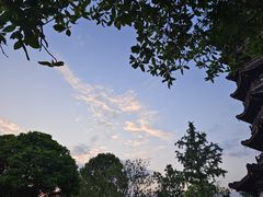 -洋湖国家湿地公园