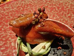 -南堂馆·新川菜(春熙路店)