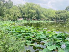 -北陵公园