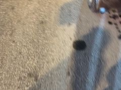 -元盛居(亚泰大街店)