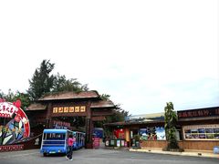 -北海金海湾红树林生态旅游区